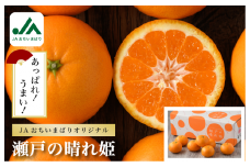 【先行予約】瀬戸の晴れ姫 4kg【KC01230】
