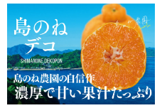 【先行予約】【数量限定】島のね農園のプレミアム不知火 島のねデコ ４ｋｇ[KB01590]