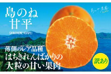 【先行予約】【訳あり】島のね農園の甘平(4kg)【KB01600】