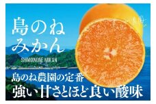 【先行予約】島のね農園 みかん 家庭用 5kg【KB01630】