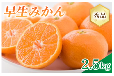【先行予約】早生みかん S～Lサイズ　2.5㎏【在庫限り】【KA00780】