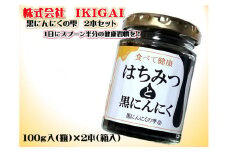黒にんにくの雫　２本セット　そのままでも　お料理にも【V000090】