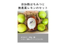 【先行予約】はちみつ450g 1瓶 無農薬レモン4~5個セット Kura-Kura農園[K001350]