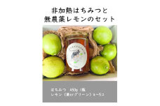 【先行予約】はちみつ450g 1瓶 無農薬レモン4~5個セット Kura-Kura農園[K001350]