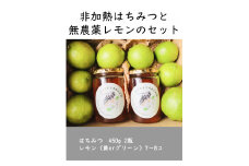 【先行予約】はちみつ450g 2瓶 無農薬レモン7~8個セット Kura-Kura農園[K001360]