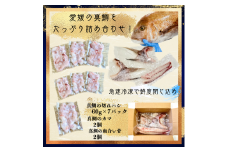 さかなやのまかない食材【愛媛の真鯛】生食用切り落とし１パック付き【V001740】