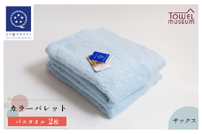 カラーパレット バスタオル2枚セット（サックス） タオル美術館 [I001730BT2SAX]