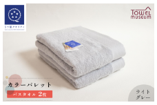 カラーパレット バスタオル2枚セット（ライトグレー） タオル美術館 [I001730BT2LGY]