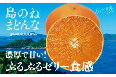 【先行予約】島のね農園 まどんな(4kg) 【K001620】
