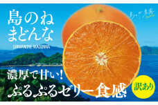 【先行予約】【訳あり】島のね農園まどんな(4kg) 【K001630】