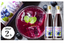 60％ ブルーベリー ジュース 500ml 2本セット 果汁入り 飲料【V002110】