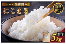 ＼数量限定／有機JAS米 マルハ にこまる 5kg 令和7年産 2025年産 新米 先行予約 お米 米 精米 ごはん ご飯  食品 人気 おすすめ 送料無料 精米 産直 産地直送 お取り寄せ 愛媛県 今治市 【V002210】