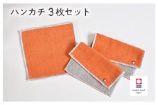（今治タオルブランド認定品）キャンバスタオル ハンカチ 3枚セット（オレンジ）【I002150HT3OR】