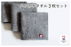 （今治タオルブランド認定品）今治ベーシックタオル ハンカチタオル 3枚セット（グレー）【I002130HT3GY】