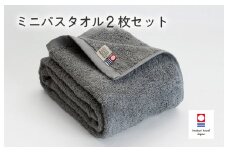 （今治タオルブランド認定品）今治ベーシックタオル ミニバスタオル 2枚セット（グレー）【I002120MBT2GY】