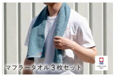 （今治タオルブランド認定品）今治ベーシックタオル マフラータオル 3枚セット（グリーン）【I002110TM3G】