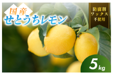 【先行予約】【有機】せとうちレモン 今治産 5kg【K002330KG5】ワックス不使用 防腐剤不使用 国産 愛媛 瀬戸内レモン 有機レモン オーガニック 生搾り 産地直送 減農薬 レモン 檸檬 直送 産直 無添加