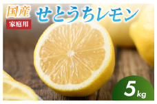【先行予約】せとうちレモン 今治産 5kg【K002320KG5】安心 安全 国産 愛媛 瀬戸内レモン 健康 生搾り レモンサワー 産地直送 レモン 檸檬 直送 産直