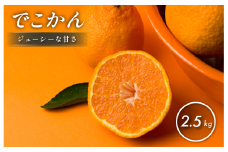 【先行予約】【数量限定】ホリ田ヤ でこかん 2.5kg【K002430】