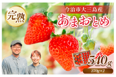 【先行予約】井上苺園　あまおとめ（270g×2パック）【V002540】