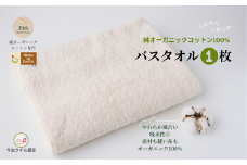 （今治タオルブランド認定品）メイドインアースの純タオル［バスタオル１枚］【I002450BT1】