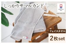 （今治タオルブランド認定）しっかりサマルカンドフェイスタオル 2枚  ブルー 今治タオル ふっくら フェイスタオル [IA05290FT2BL]
