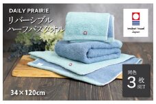 （今治タオルブランド認定品）DAILY PRAIRIE リバーシブルハーフバスタオル 3枚セット （ミント／ブルー） [I002950ST3MT/B] 今治タオル タオル 今治バスタオル ハーフバスタオル ギフト ギフトセット お祝い 贈り物 日本製