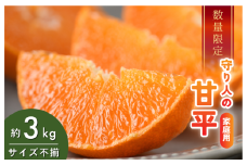 [先行予約] [数量限定] 守り人の甘平 3kg（家庭用） [K003070] 2月上旬～2月下旬に順次発送予定 かんぺい 愛媛 甘平 みかん 愛媛県 果物 フルーツ みかん 3kg 甘い 高級 柑橘類 守り人