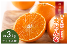 [先行予約] [数量限定] 守り人のまどんな 3kg（家庭用） [K003060] 12月上旬～12月下旬に順次発送予定 まどんな 愛媛 マドンナ まどんな みかん 愛媛県 果物 フルーツ みかん 3kg 年内発送 甘い 高級 柑橘類 守り人