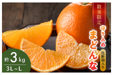 [先行予約] [数量限定] 守り人のまどんな 3kg （化粧箱入り） [K003050] 12月上旬～12月下旬に順次発送予定 まどんな 愛媛 マドンナ まどんな みかん 愛媛県 果物 フルーツ みかん 3kg 年内発送 甘い 高級 柑橘類 守り人