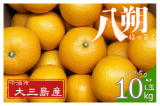 八朔 L玉～・10kg【K003210L10】