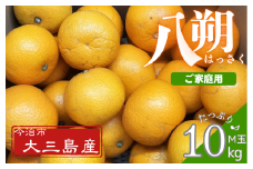 八朔Ｍ玉・ご家庭用（キズあり） 10kg【K003220M10】