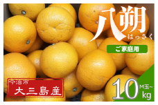 八朔Ｍ玉・ご家庭用（キズあり） 10kg【K003220M10】