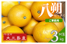 八朔Ｍ玉・ご家庭用（キズあり） 3kg【K003220M3】