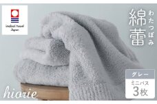 （今治タオルブランド認定品）わたつぼみ 綿蕾 ミニバスタオル 3枚セット グレー【I003820MBT3GY】	