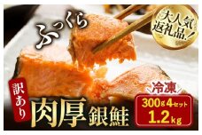 訳あり塩銀鮭切り身 1.2kg（300g×4袋）【V003250】