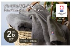 （今治タオルブランド認定品）プレミアムやわふわオーガニック ミニバスタオル 2枚セット グレージュ【I003280BT2GY】 