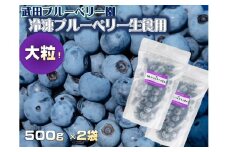 大粒冷凍ブルーベリー生食用【V002130】