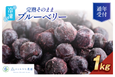 森のともだち農園 冷凍ブルーベリー 1kg【V003270K1】
