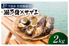 幻の貝「瀬戸貝」と高級サザエ【瀬戸貝3～4個（約1kg）・サザエ4～5個（約1kg）】【V002770】