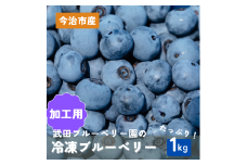 加工用冷凍ブルーベリー 1kg　規格外【V003080K1】