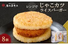 じゃこカツライスバーガー＜D02-3＞_ ライスバーガー ライスバンズ うるち米 ごはん ご飯 バーガー 総菜 ランチ 夜食 軽食 レンジ 温め レンチン 簡単調理 お取り寄せ グルメ じゃこカツ 焼おにぎり 名物 ご当地バーガー 【1042864】