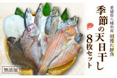 無添加・天日干し　ピチピチ朝獲れ鮮魚の一夜干し8枚セット＜D26-1＞_ 干物 ひもの 一夜干し 天日干し 国産 干物セット タイ アジ カマス トビウオ イカ カレイ アマダイ 愛媛 無添加 冷凍 手作り 【1044326】