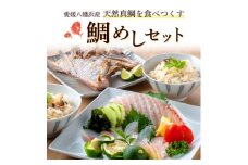 愛媛八幡浜産　天然真鯛を食べつくす 鯛めしセット＜C26-2＞_ 鯛 たい タイ 真鯛 海鮮 魚介 天然真鯛 天然 刺身 国産 産地直送 鯛めし 手軽 便利 冷凍 グルメ セット 食べ比べ 愛媛県 【1133994】