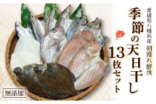 無添加・天日干しピチピチ朝獲れ鮮魚の一夜干し13枚セット＜H26-4＞【1044325】
