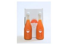 じゅらす農房のブラッドオレンジジュース2本セット＜C32-2＞_ オレンジジュース ジュース 飲料 ドリンク ストレート 100% 果実 果物 くだもの フルーツ 柑橘 高糖度 愛媛 セット 2本 常温 産直 産地直送 【1490334】