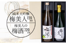 純米大吟醸「梅美人」と「梅美人の梅酒」のセット＜D03-3＞【1043423】