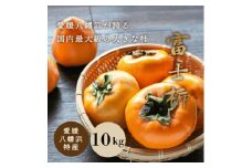 《八幡浜特産 国内最大級の 柿》 富士柿 10kg＜D20-2＞【1094599】