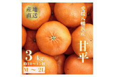＼ 愛媛が誇る 高級みかん 希少品種 / 甘平 (かんぺい) 3kg ＜D20-5＞【1094583】