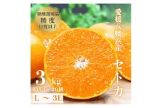 ＼みかんの大トロ/糖度12.0以上 酸1.4以下 糖酸選別品 愛媛セトカ 3kg＜D20-7＞【1094585】
